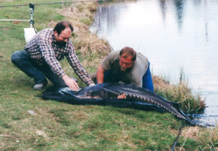 Sportfischen Peinhaupt Zeutschach